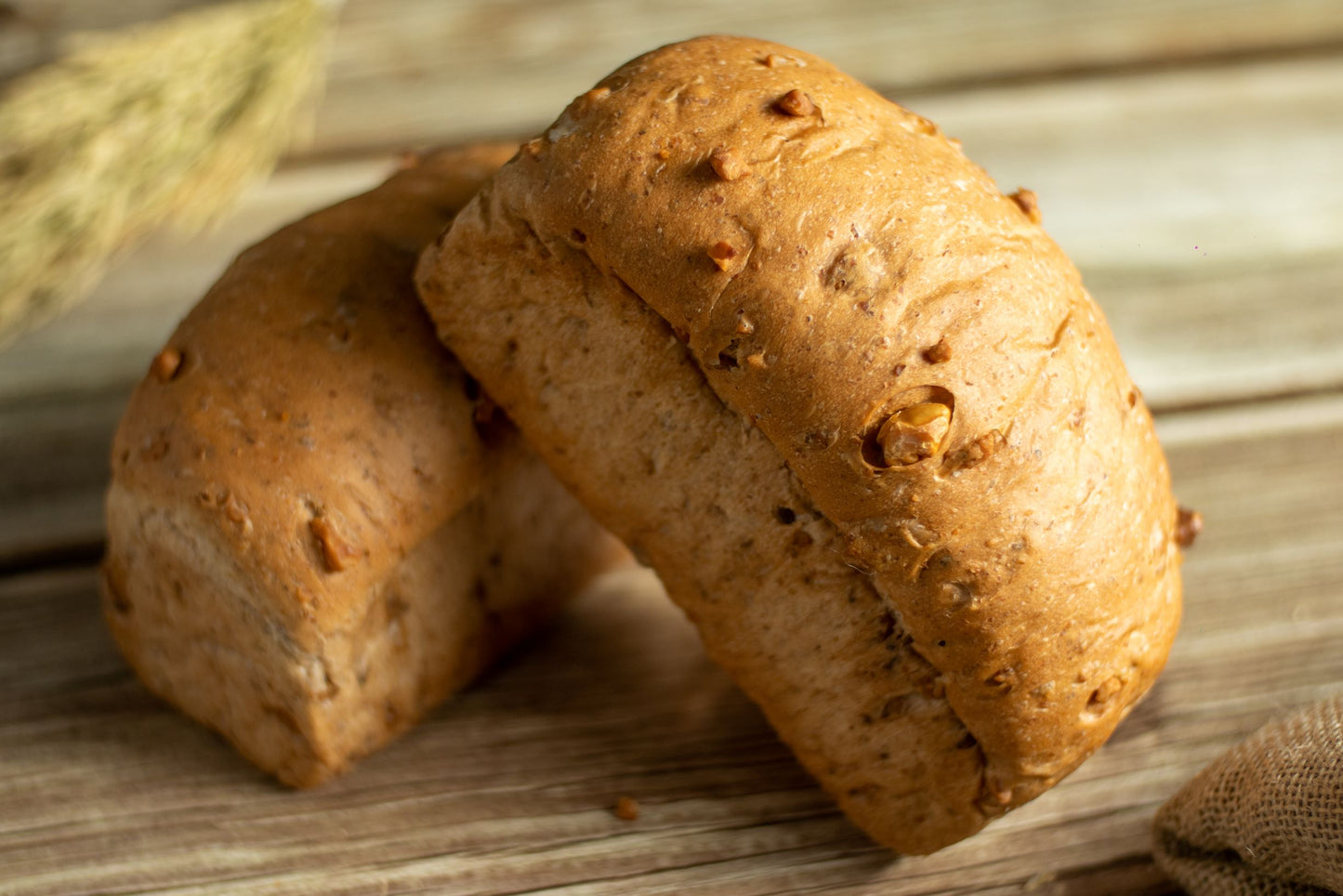 Whole wheat walnut bread 全粒クルミ