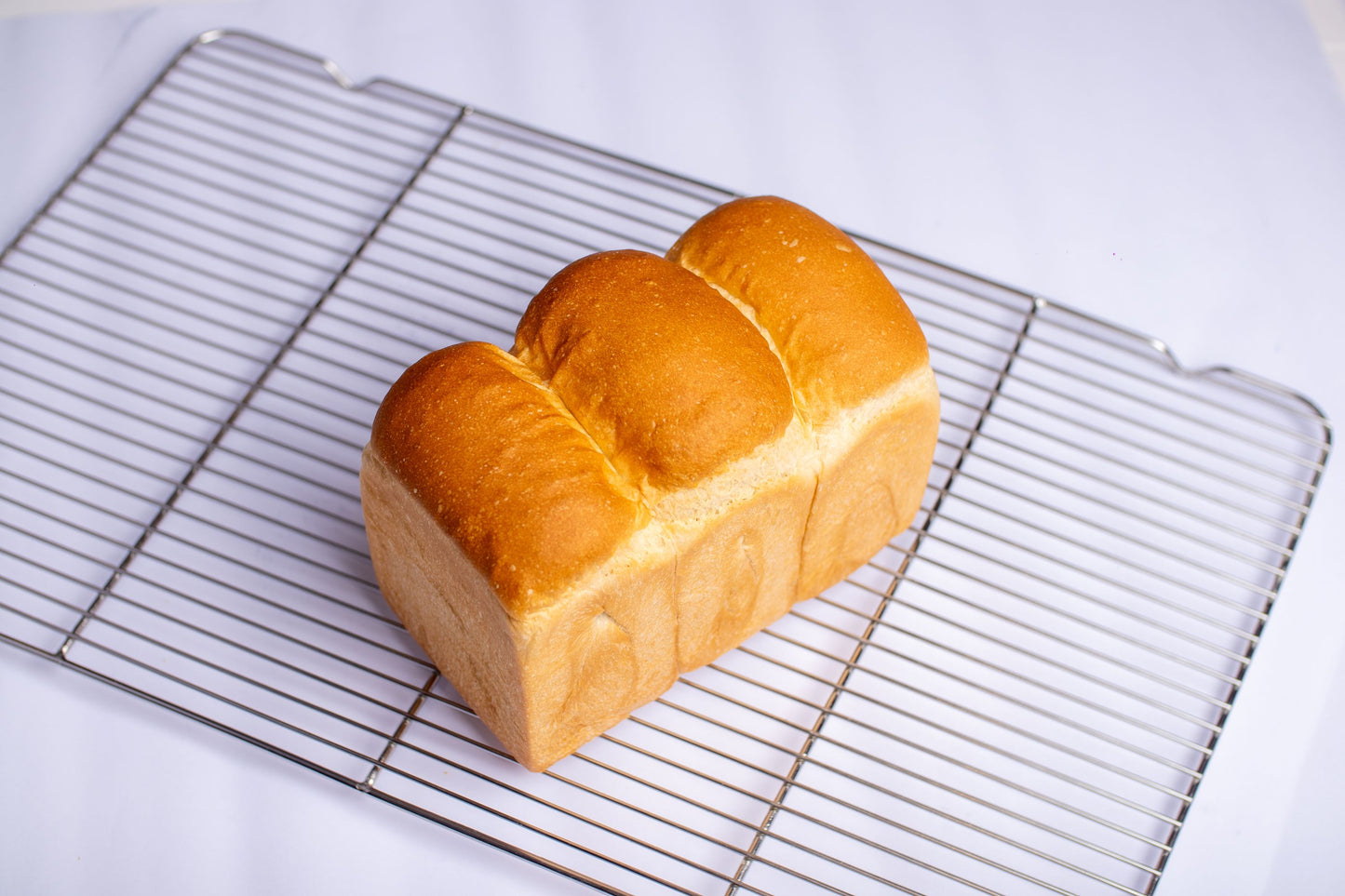 Angel Shokupan 天使の食パン